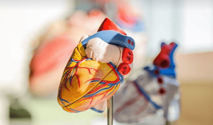 Do I Need a Referral to Access NDIS-Funded Exercise Physiology